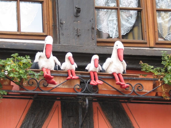 Images/colmar_16.jpg