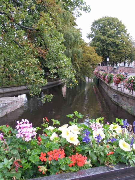 Images/colmar_29.jpg