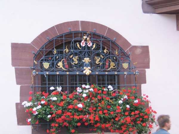 Images/freiburg1_48.jpg